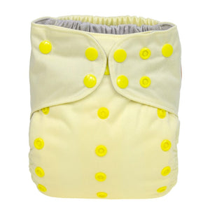 The "EZ" Pocket Diaper - Spring Fling Collection